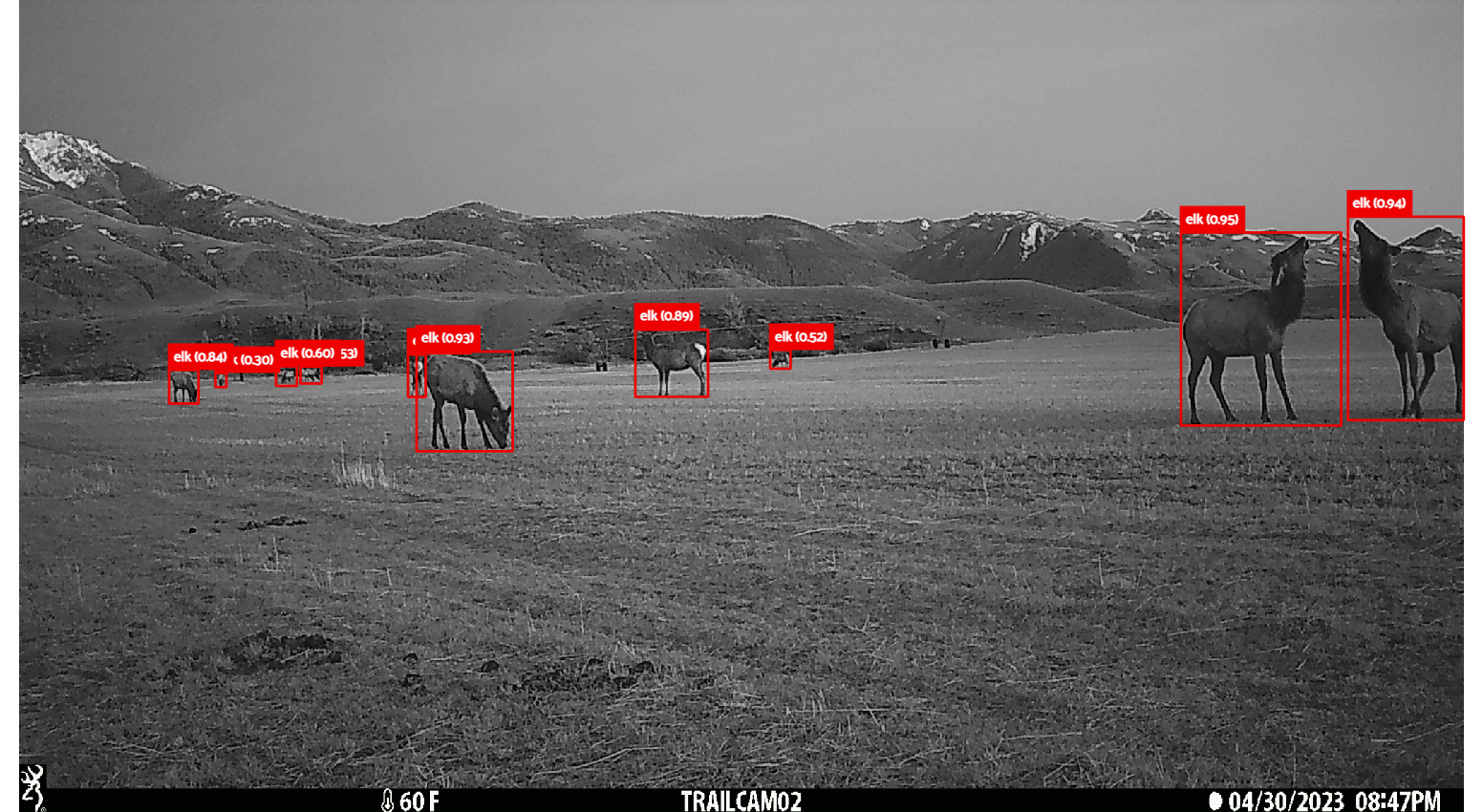 4_1_WildWatch_undefined_(6)