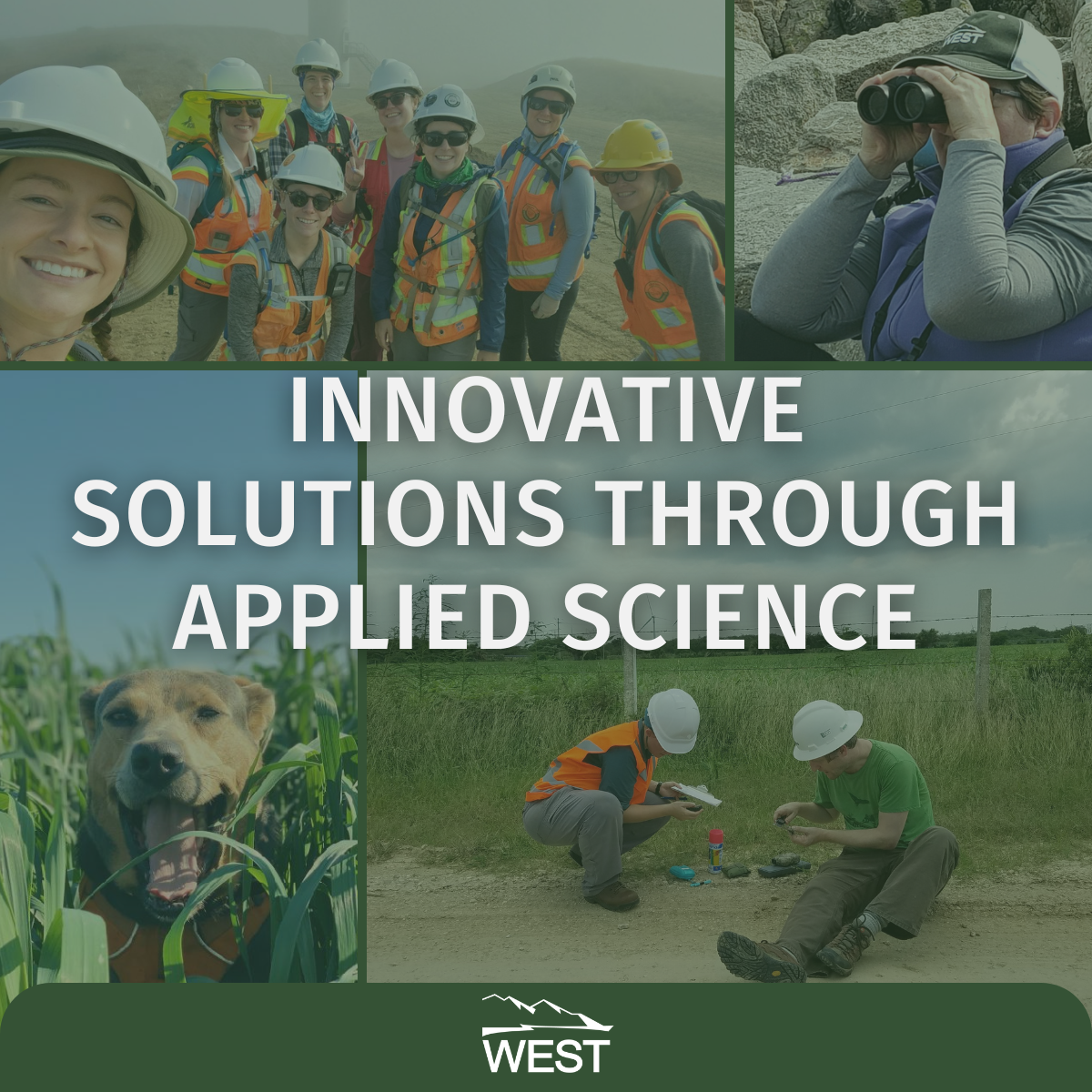 Announcing WEST's New Tagline! - Western EcoSystems Technology, Inc.