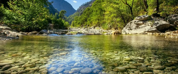 Aquatic mountain stream