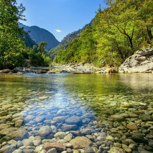 Aquatic mountain stream