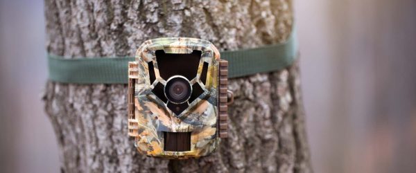 Trail camera for wildlife monitoring