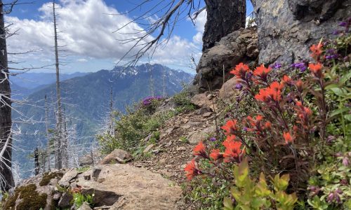 Biodiversity Enhancement and Ecosystem Services