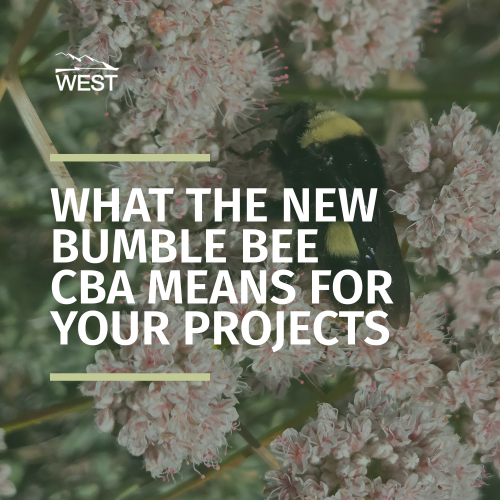 Bumble Bee CBA_FINAL