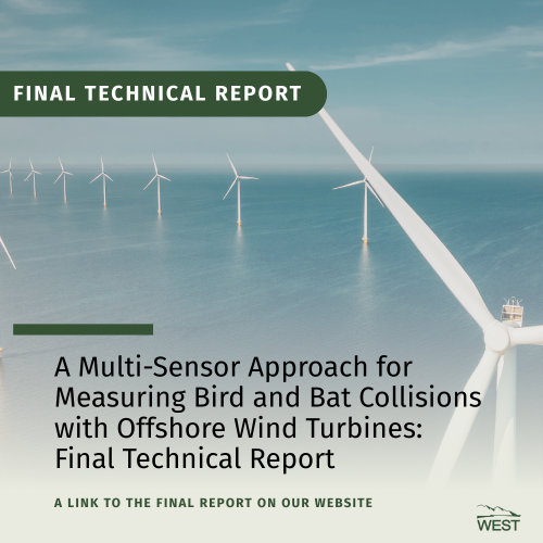 DOE Final Report - Offshore