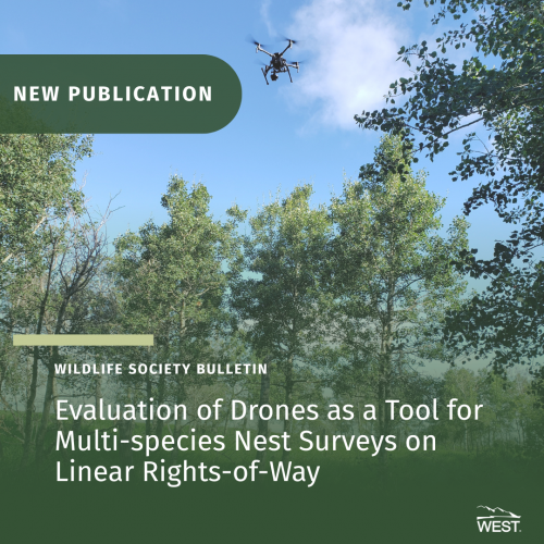 Drone Nest Surveys Publication
