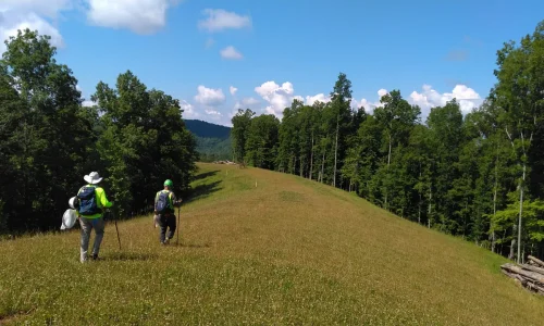 WEST Field Work WEST Field Work