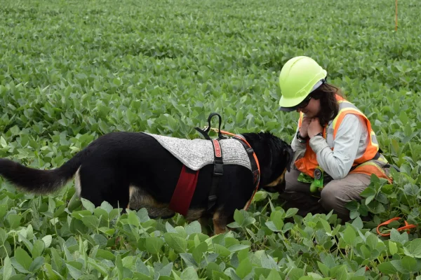 Detection Dog and Handler