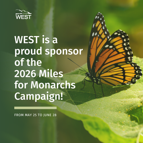 Miles for Monarchs