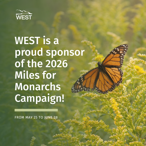 Miles for Monarchs