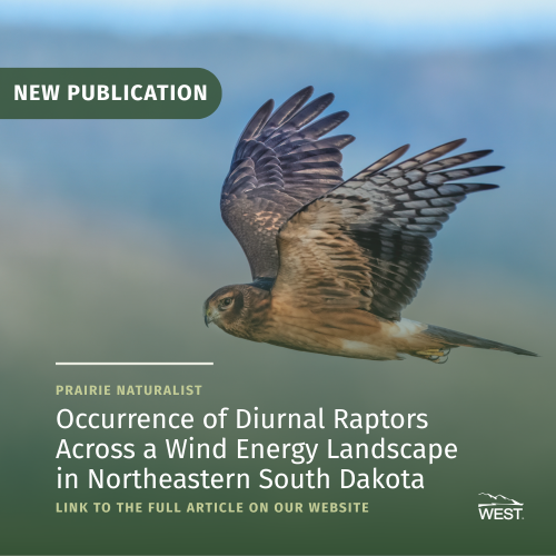 Publication - Diurnal Raptors
