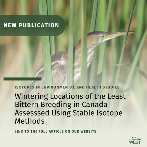 Publication - Least Bittern