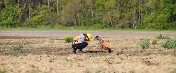 Detection Dog Team Experts