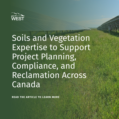 Soils and Vegetation Support