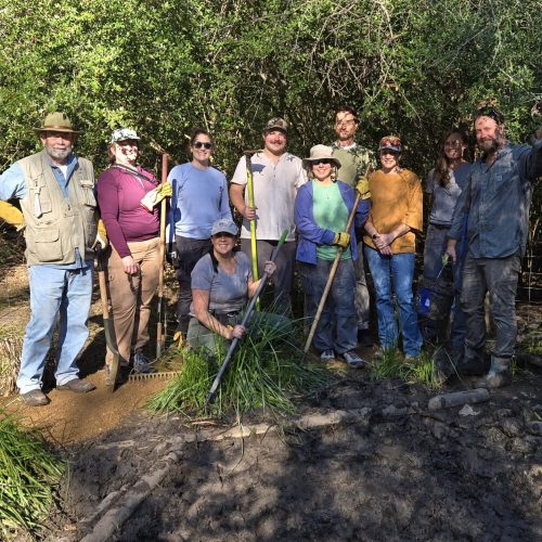 WEST at Seabourne Creek