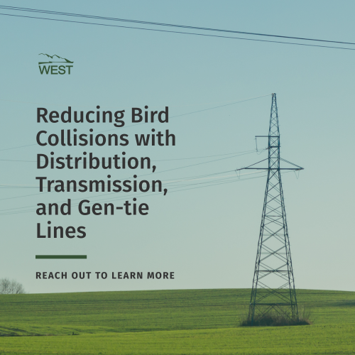 Reducing Bird Collisions with Distribution, Transmission, and Gen-tie Lines