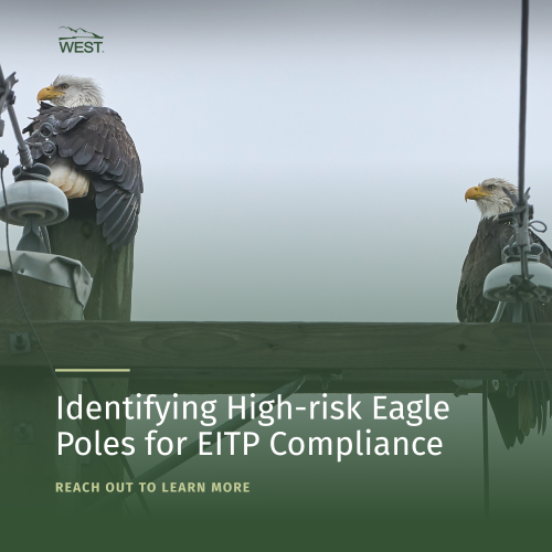 Identifying High-risk Eagle Poles for EITP Compliance