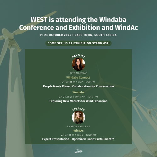 Windaba Post (7)