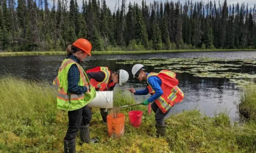 WEST Field Technicians